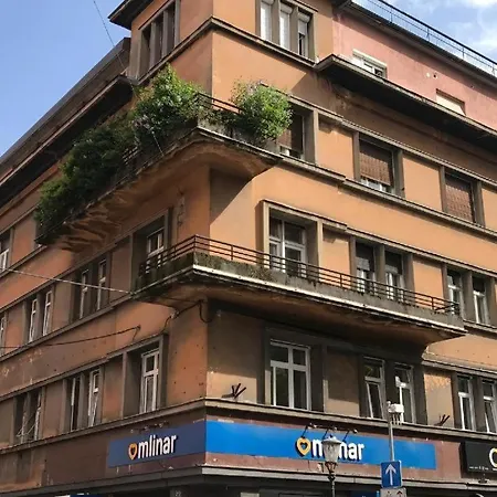 Miklosiceva Hostel