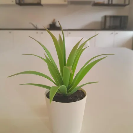 Miklosiceva