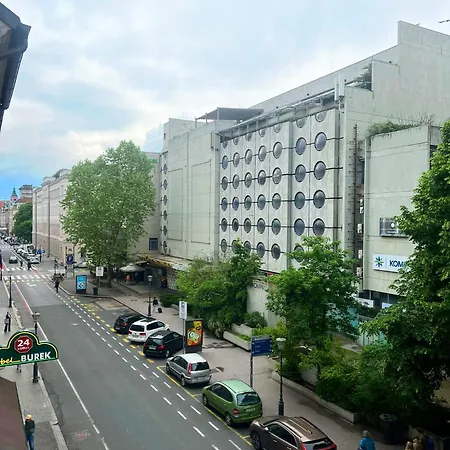 Miklosiceva Hostel Laibach